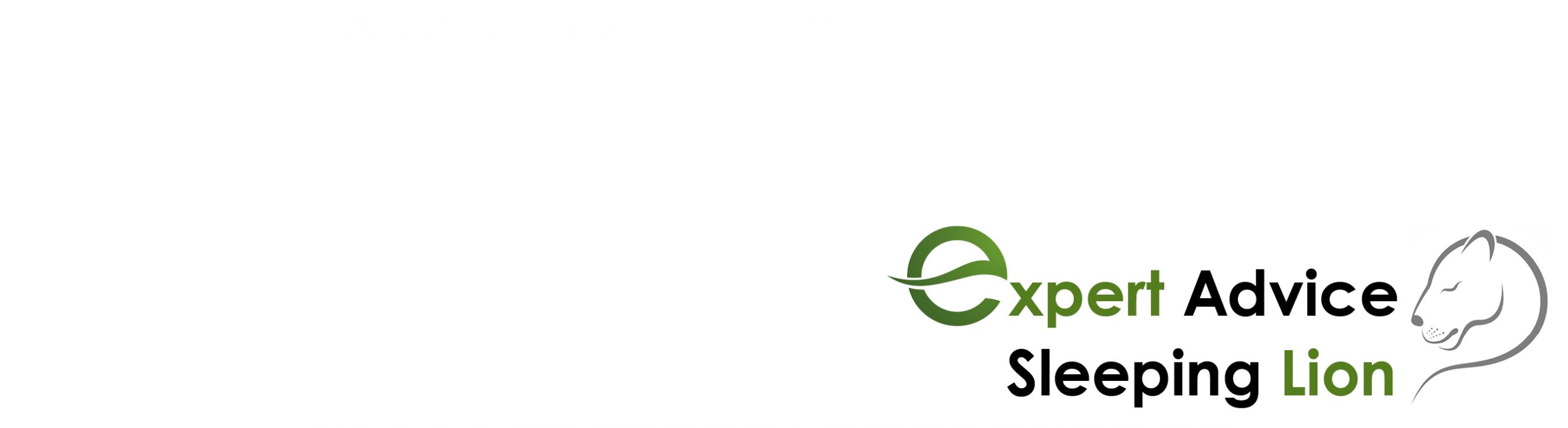 ExpertAdviceOnline.com : Home Logo