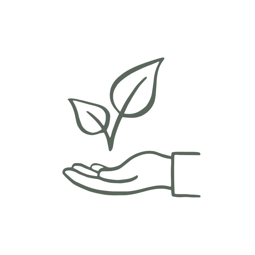 Training Icons17